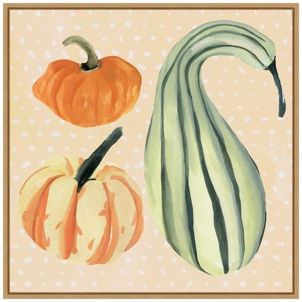 Amanti Art 22 in. Canvas Decorative Gourd III Fall/Thanksgiving Framed Box Wall Art