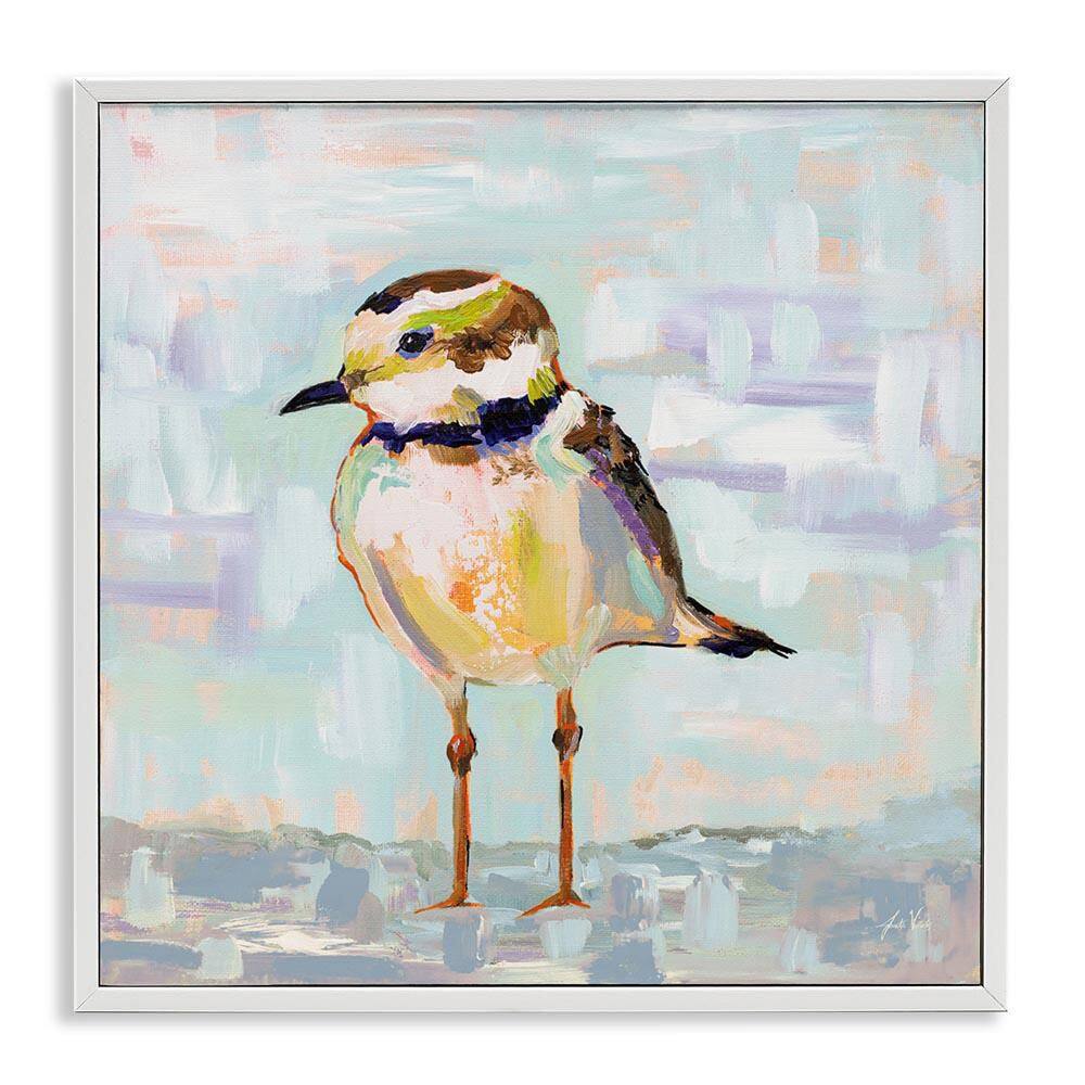 Coastal Plover Patchwork Abstract by Jeanette Vertentes White Framed Giclee Art Print Animal 17 in. x 17 in. price history on PriceWatchPro