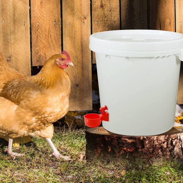 Chicken Water Cups Automatic Chicken Waterer - Float-Controlled Poultry Drinker With Hose Poultry Waterer