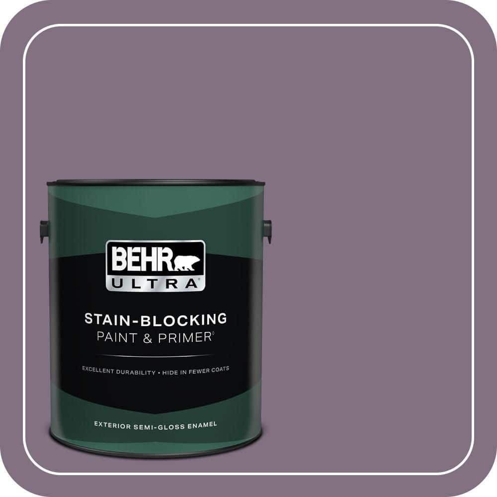 1 gal. Home Decorators Collection #HDC-SP14-9 Decorative Iris Semi-Gloss Enamel Exterior Paint & Primer product image for price tracking