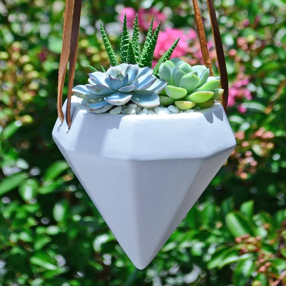 Sky Blue Ceramic Diamond Hanging Planter - Indoor/Outdoor