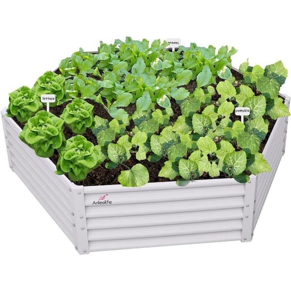 Unbranded 70 x 60 x 18 in. White Hexagon Galvanized Raised Garden Beds, Metal Planter Box for Planting Vegetables Flowers Herb