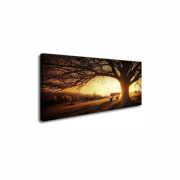 Print Picture Big Trees in Sunset 1 Panel Golden Sunset Forest Natural