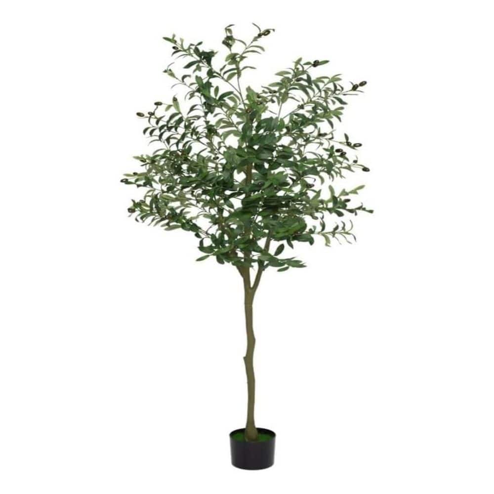 6Ft Fake Black Olive Tree with Pot,Indoor Outdoor Tall Artificial Plants price history on PriceWatchPro
