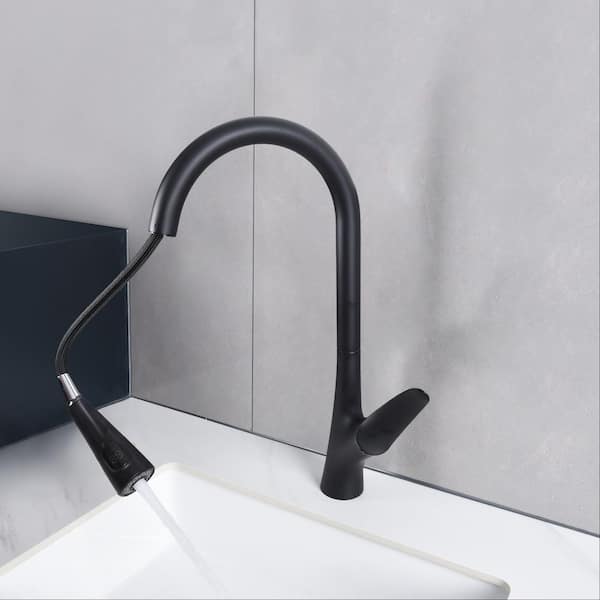 1-Handle 18 in. H Pull Down Sprayer Kitchen Faucet 2-Spray Sink Faucet in Matte Black