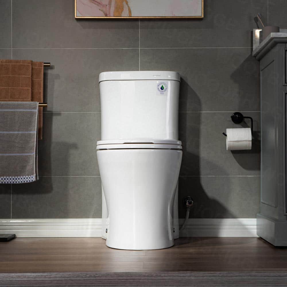 White Elongated One-Piece Dual Flush Toilet with Soft Closing Seat