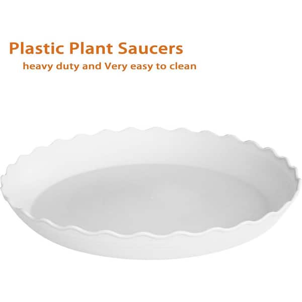 containers for air plants Gideon Ceramic Air Plant Holder