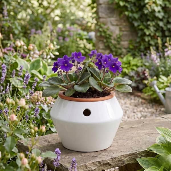 Vigoro Leilani African Violet White Indoor Ceramic Self-Watering Round Planter (7.08 in. L x 7.08 in. W x 5.11 in. H)