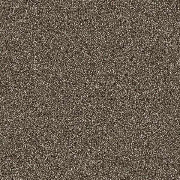 Lifeproof Carpet Sample - Harvest II - Color Ramsey Texture 8 in. x 8 in.