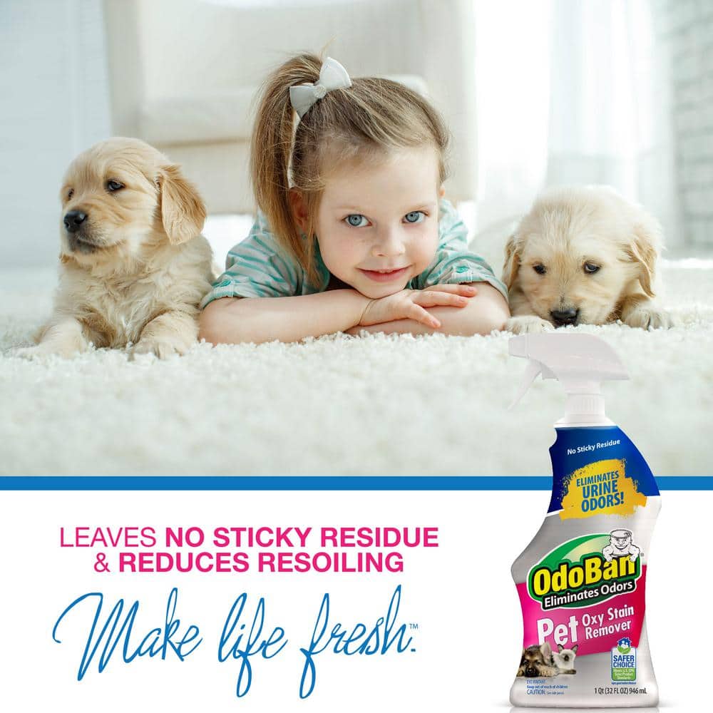 Oxy Stain Remover Spray for Pet Stains, 32 oz