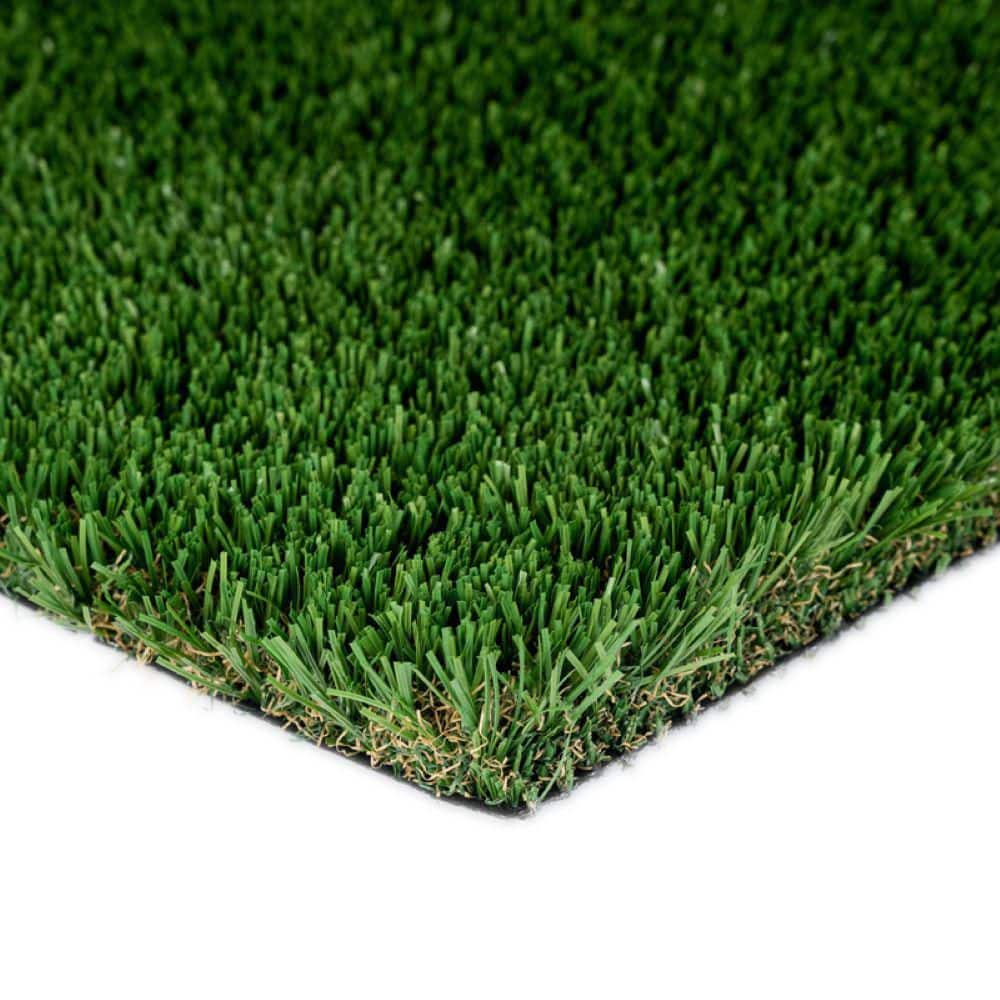 Boise Pro 15 ft. Wide x Cut to Length Green Artificial Grass Turf price history on PriceWatchPro