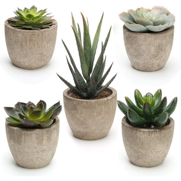 Unbranded 2.5 in. Green Indoor Artificial Succulent Plant Set of 5 Faux  Decorative Potted Plants for Home or Office 59B1124C1942