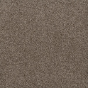 First Class I - Shire - Brown 32 oz. SD Polyester Texture Installed Carpet