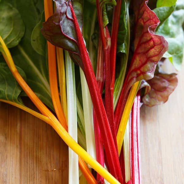 19 oz. Organic Swiss Chard Plant