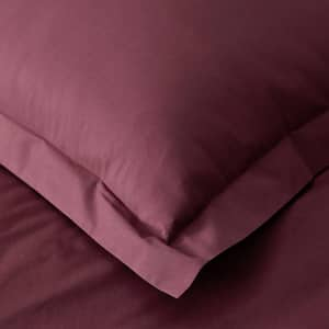 Company Cotton Percale Sham