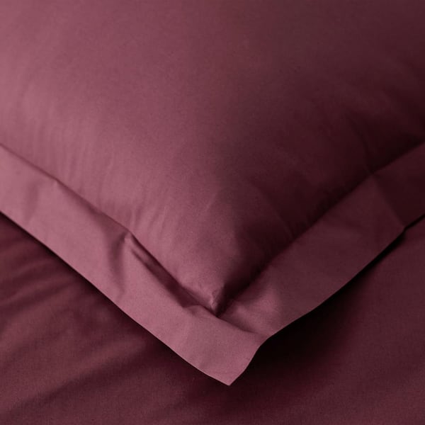 Company Cotton Plum Cotton Percale King Sham