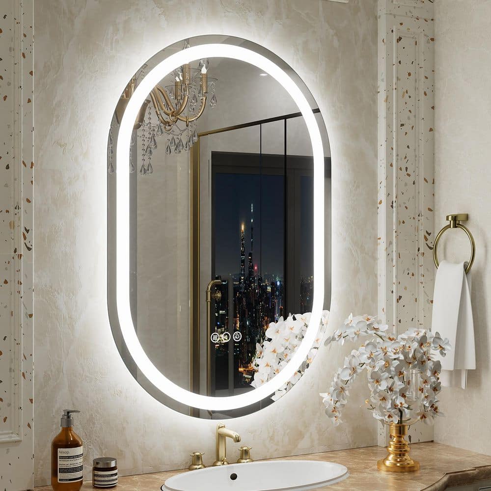 20 in. W x 30 in. H Oval Frameless UL Certified Front and Back LED Anti-Fog Tempered Glass Bathroom Vanity Mirror price history on PriceWatchPro