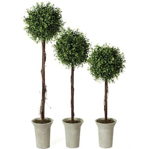 30 in., 25 in. and 22 in. Artificial Boxwood Topiary Tree - (Set Of 3)