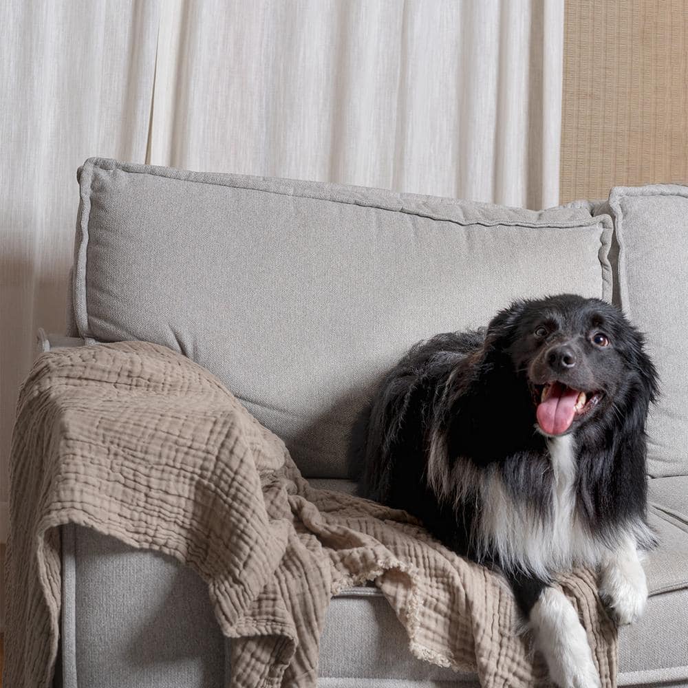 50"x60" Two-Toned Organic Cotton Reversible Throw Blanket