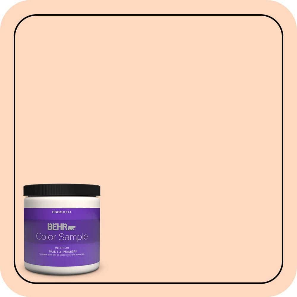 8 oz. #240A-2 Sunkissed Peach Eggshell Enamel Interior Paint & Primer Color Sample price history on PriceWatchPro
