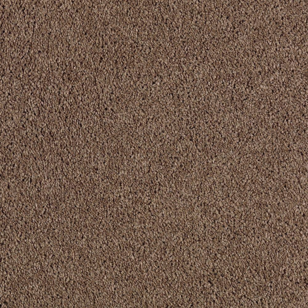 Lifeproof Ambrosina II Timberline Brown 38 oz. Triexta Texture