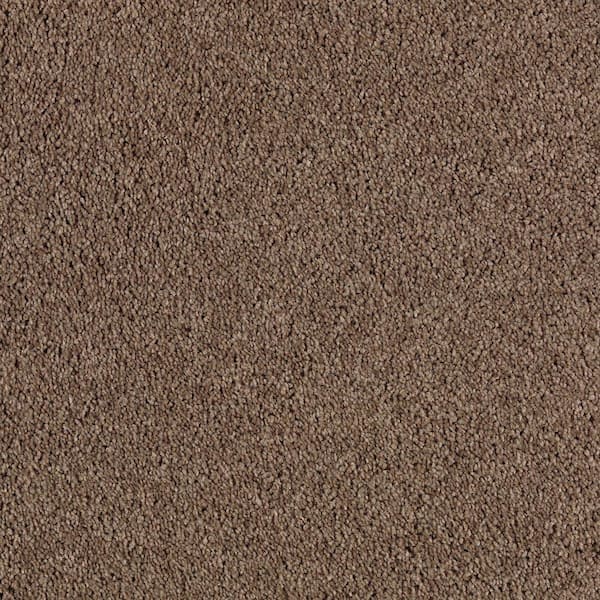 Ambrosina II  - Timberline - Brown 38 oz. Triexta Texture Installed Carpet