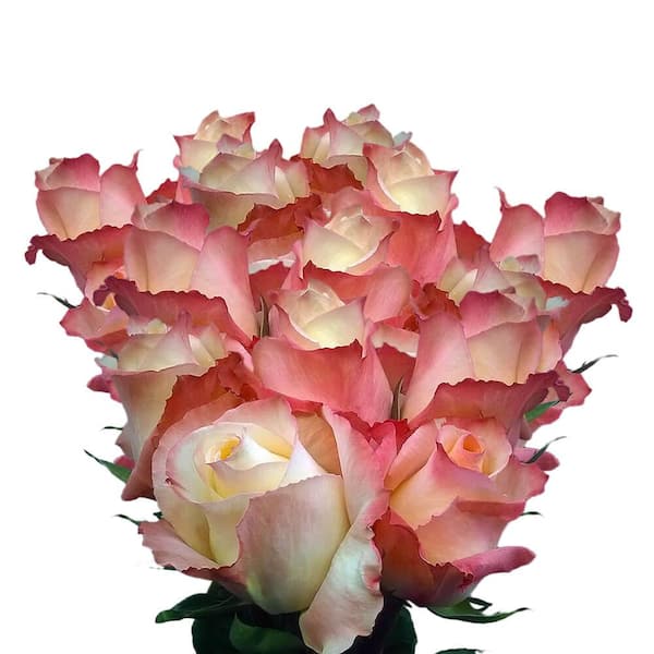 Peach Cream Blush Floral Number - Digit 8 With Flowers Bouquet