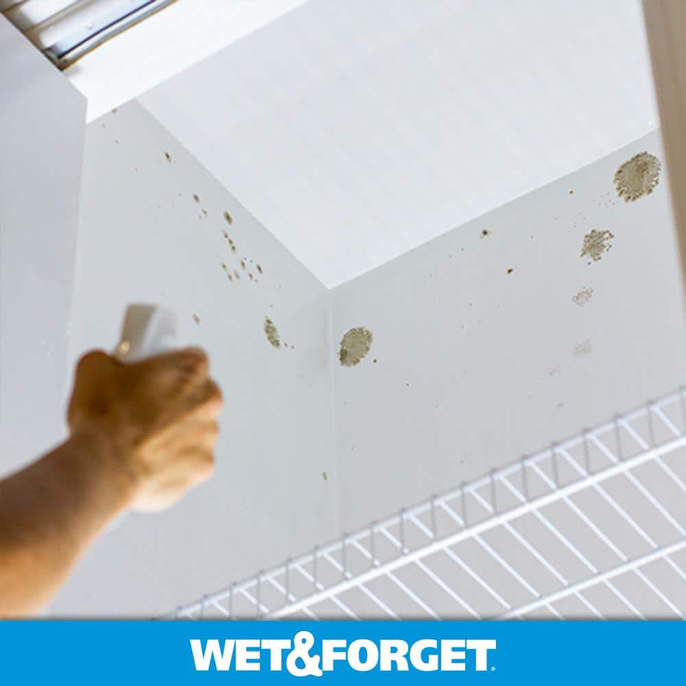 https://images.thdstatic.com/productImages/41246b18-84ce-4f9b-8fb1-0603d5cfcbfd/svn/wet-and-forget-mold-removers-e802064-c3_1000.jpg