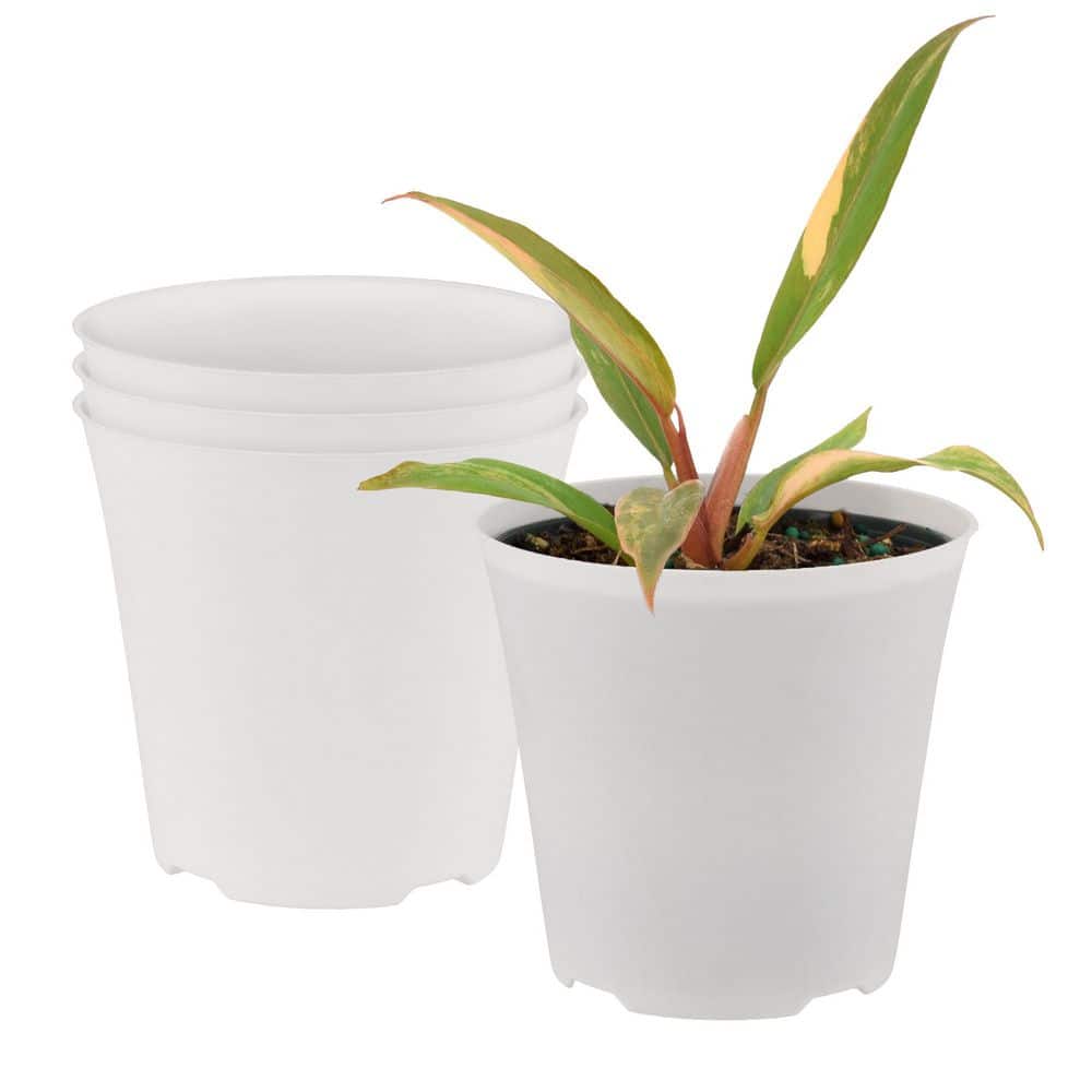 4 in. White Indoor Plastic Drop-In Planter (4.3 in. L x 4.3 in. W x 4.0 in. H) (4-Pack) price history on PriceWatchPro