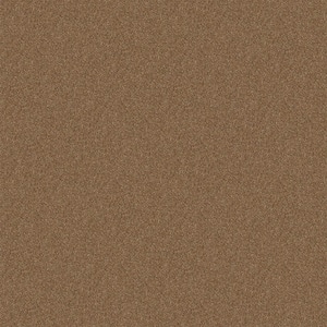 Watercolors I - Trail Mix - Brown 28.8 oz. Polyester Texture Installed Carpet