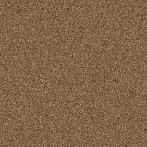 TrafficMaster Watercolors I - Trail Mix - Brown 28.8 oz. Polyester Texture Installed Carpet