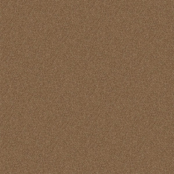 TrafficMaster Watercolors II - Trail Mix - Brown 38.4 oz. Polyester Texture Installed Carpet
