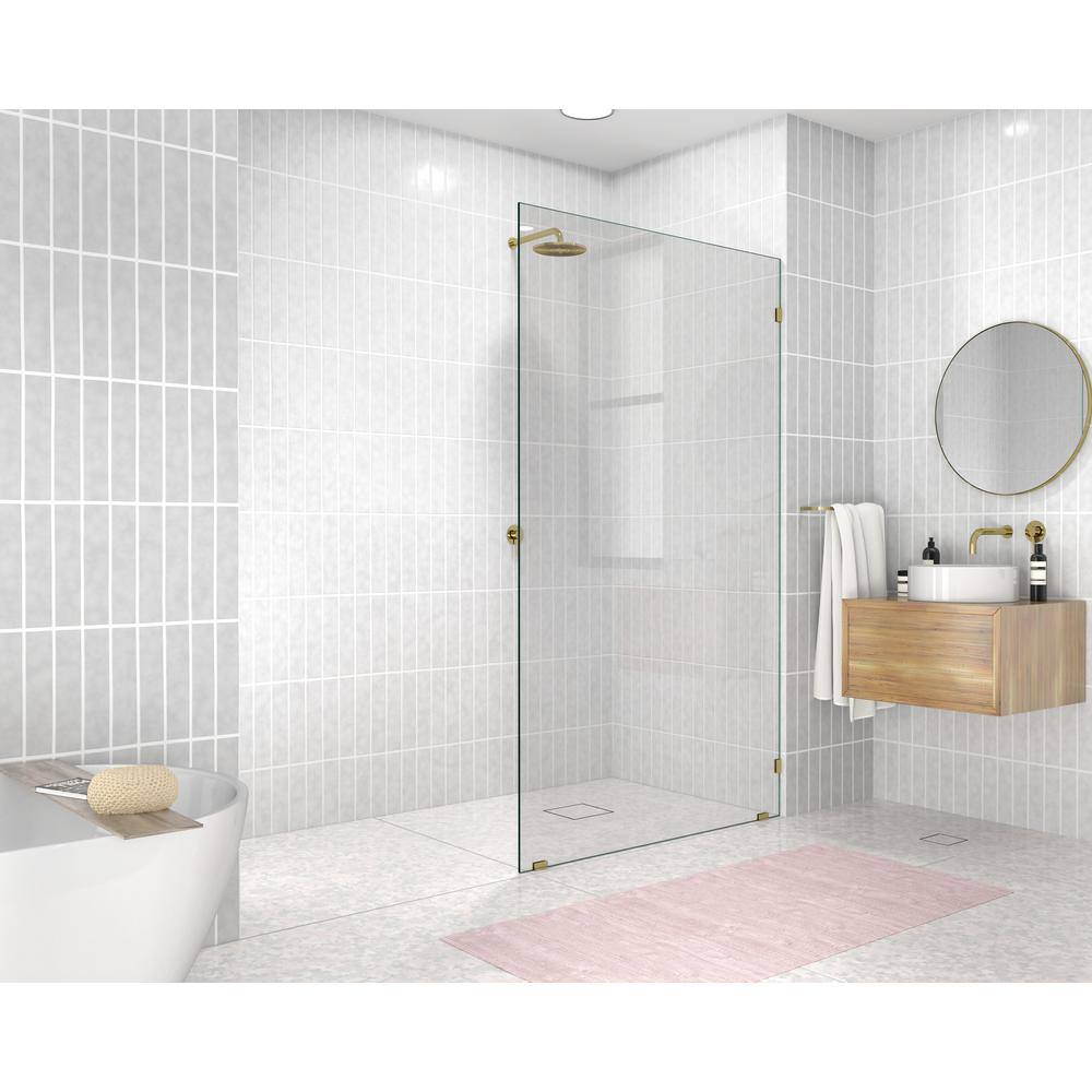 Glass Warehouse 43 in. x 78 in. Frameless Fixed Shower Door in Polished  Brass without Handle GW-SFP-43-PB - The Home Depot