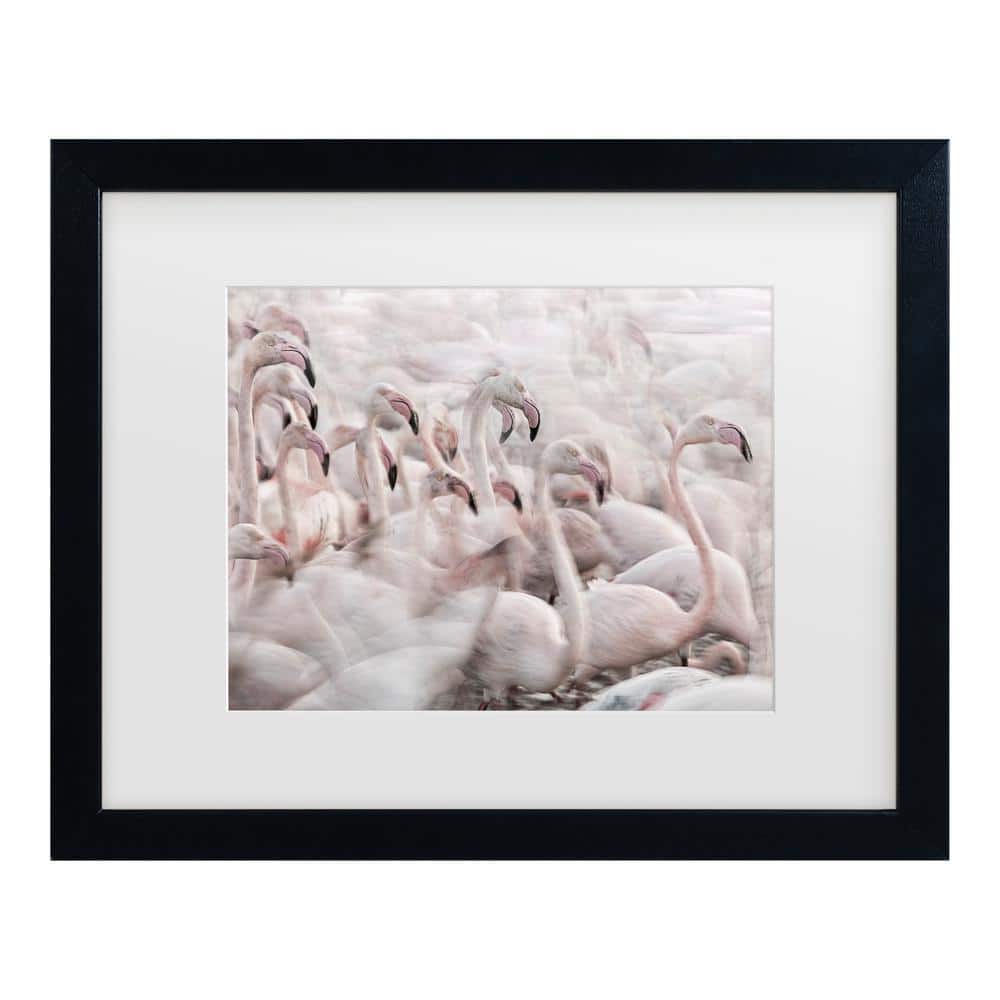 Martine Benezech in the Pink Transhumance Matted Framed Photography Wall Art 18 in. x 22 in. price history on PriceWatchPro