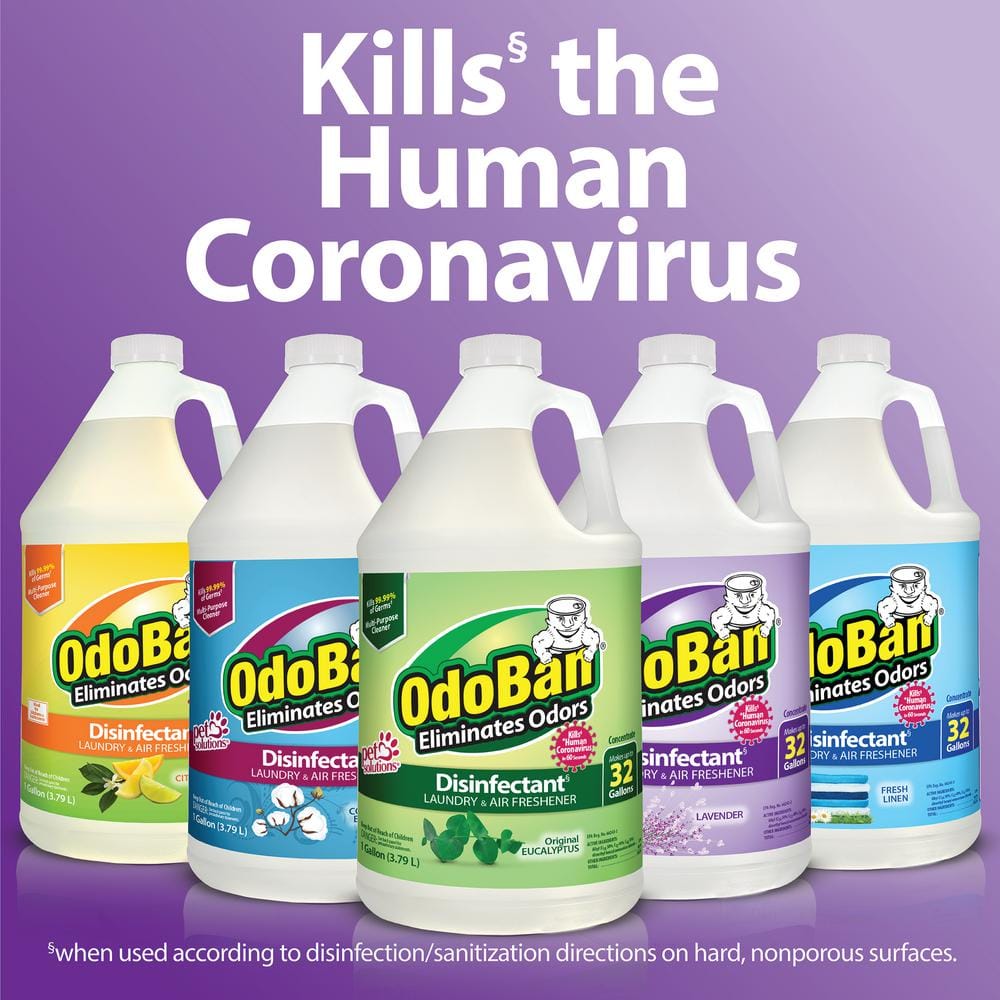 OdoBan Eucalyptus Scent Disinfectant and Odor Eliminator Concentrate