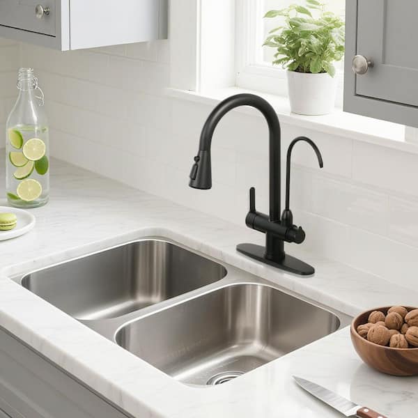 16.7 in. H Pull Down Sprayer Kitchen Faucet with Drinking Water Faucet and 360° Swivel Spout in Matte Black