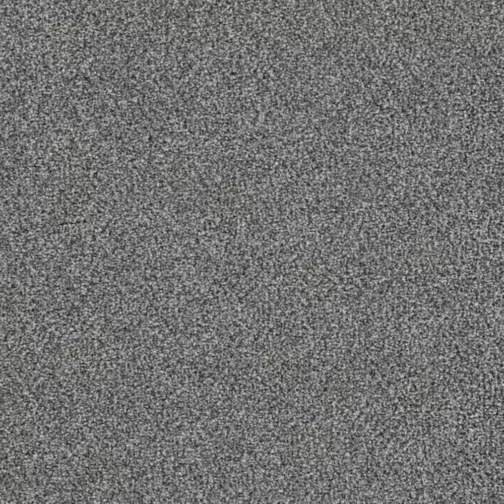 8 in. x 8 in. Texture Carpet Sample - LYRIC LOFT II - Color HARMONY price history on PriceWatchPro