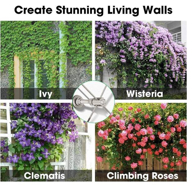 thumbnail image 2 of Chain Trellis For Climbing Plants DIY Vine Trellis For Monstera, Pothos, Ivy, And More Garden Wall Plant Support Houseplant Accessories Gifts 7d66ae6e A7b6 4a81 Ac86 2ab718807450.caa098cdd57e073a03e8c9452e7bdd79 2 of 10
