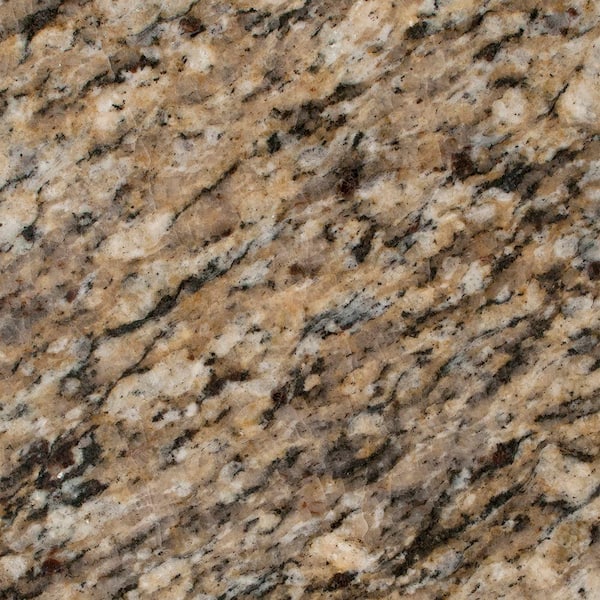 STONEMARK 3 in. x 3 in. Granite Countertop Sample in St. Cecilia