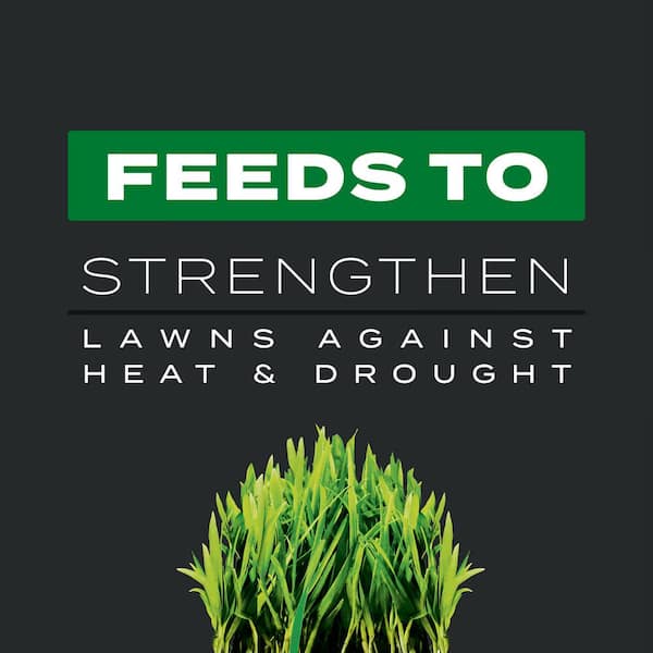 Scotts Turf Builder 26.84 lb. 8,000 sq. ft. Triple Action Southern Lawn Fertilizer Scotts Turf Builder 26.84 lb. 8,000 sq. ft. Triple Action Southern Lawn Fertilizer