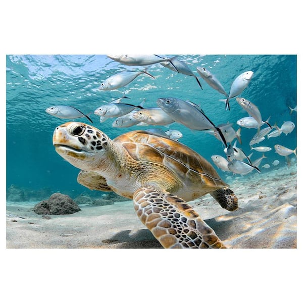 Under the Sea Animals by Unknown 1 Piece Unframed Canvas Drawing Print 20 in. x 30 in.