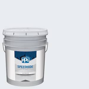 5 gal. PPG1164-1 Windswept Satin Interior Paint