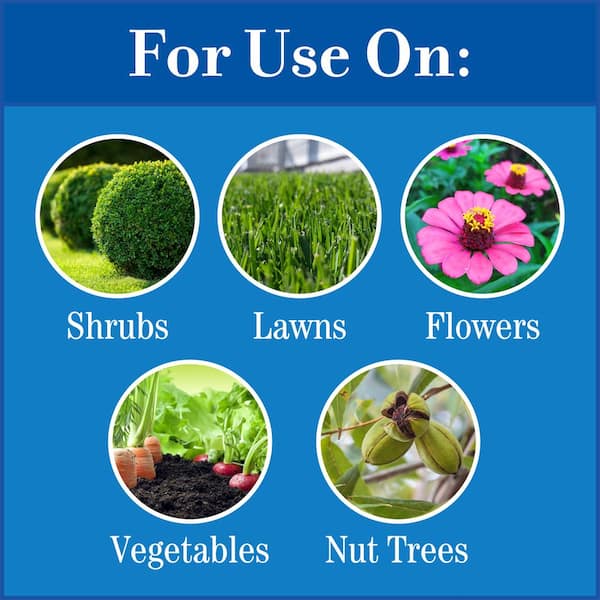 Lilly Miller All-Purpose Lawn Fertilizer For All Grasses 8000 sq ft