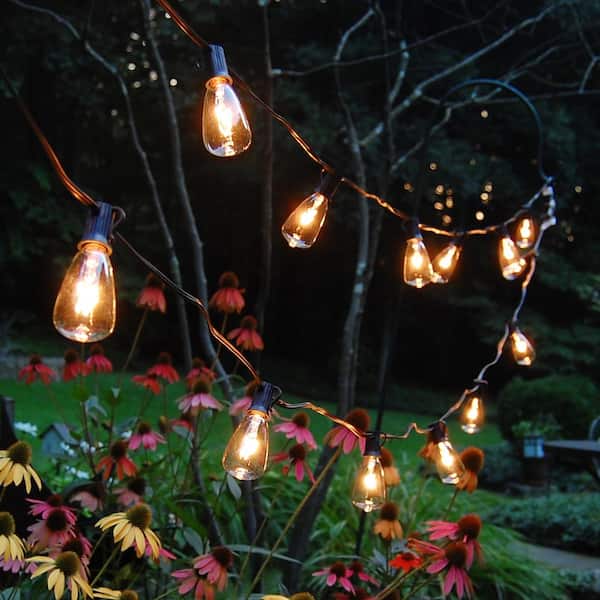 Light Edison Bulb String Lights in Clear (10-Pack)