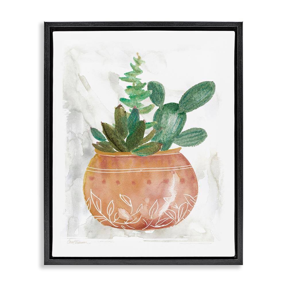 Succulent Planter Vase by Carol Robinson Black Floater Frame Nature Graphic Art Print 21 in. x 17 in. price history on PriceWatchPro