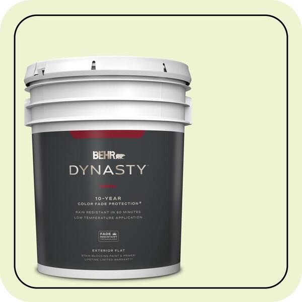 BEHR DYNASTY 5 gal. #420A-1 Green Shimmer Flat Exterior Stain-Blocking Paint & Primer
