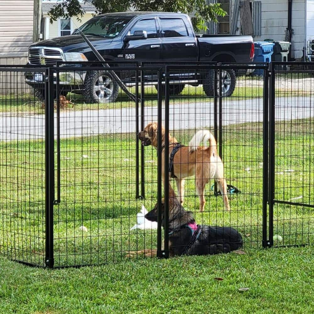 ALEKO Black Metal 10x10x4 Feet Heavy Duty Pet Playpen