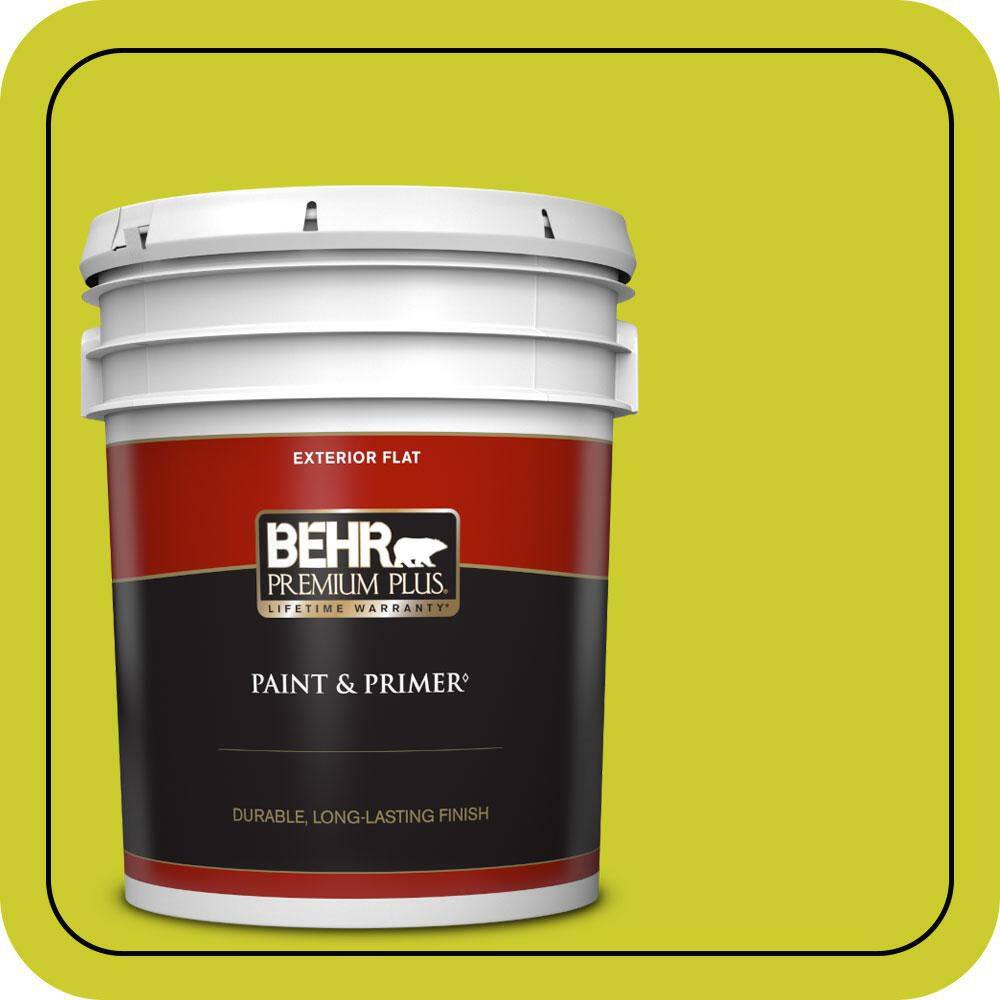 5 gal. #S-G-400 Lime Pop Flat Exterior Paint & Primer price history on PriceWatchPro