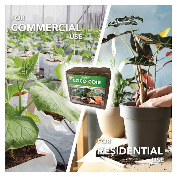 Harris 18 Gal. Expanding Coco Coir Pith (8 Brick/2-Pack