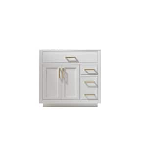 Ivy 35.2 in. W x 21.6 in. D x 33.1 in. H Bath Vanity Cabinet without Top in White